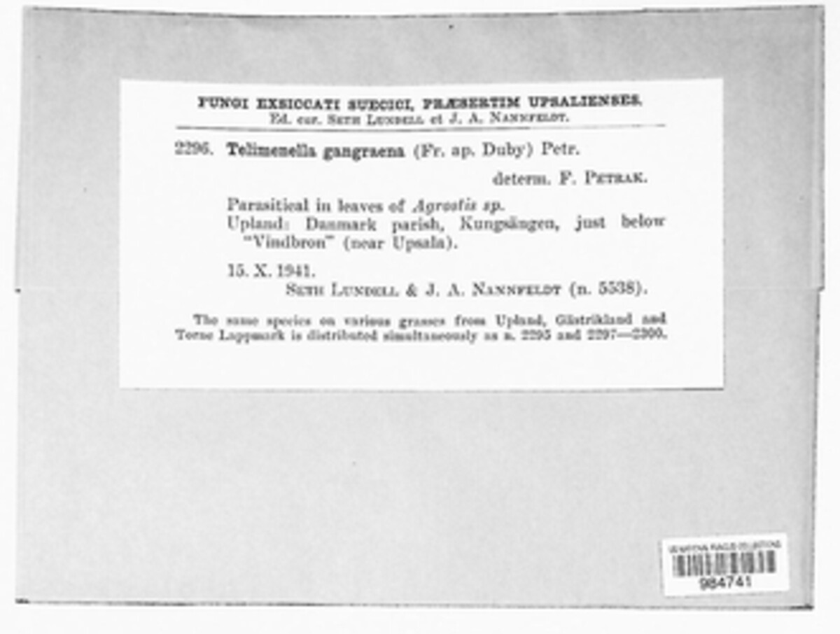 Telimenella gangraena image